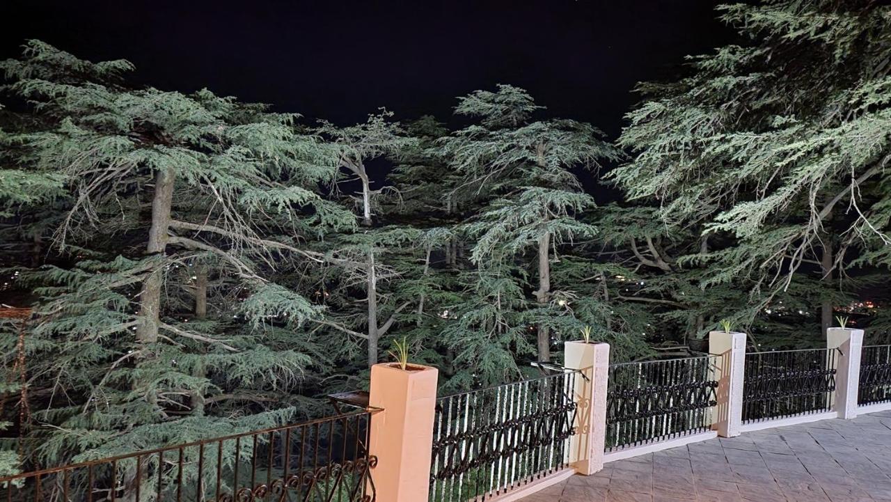Glen View Heritage Homestay 심라 외부 사진