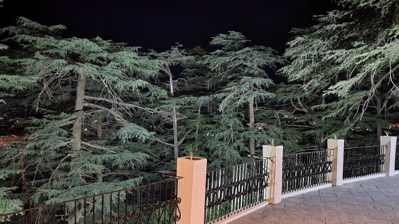 Glen View Heritage Homestay 심라 외부 사진